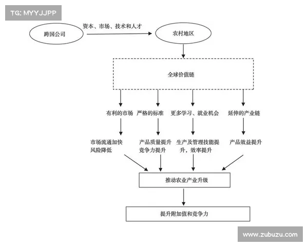 三质合理念驱动下的创新发展路径探索与实践分析